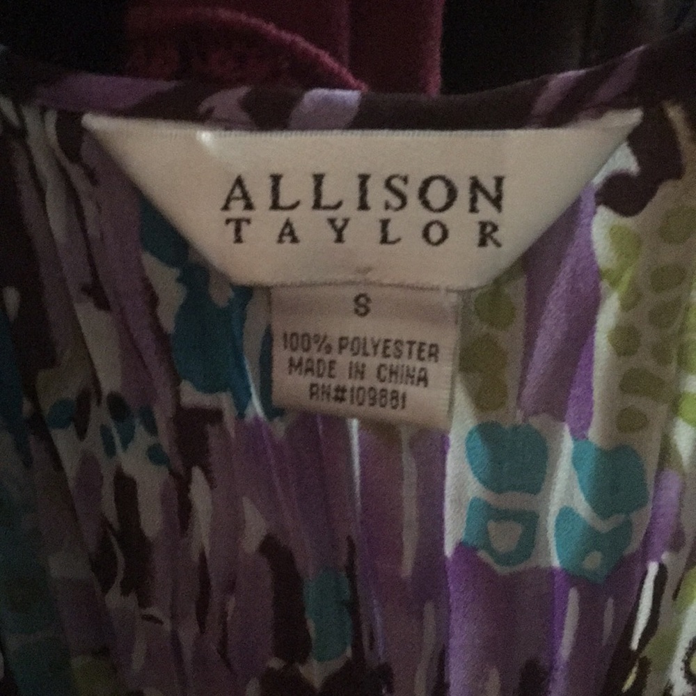 Allison Taylor Ruffled Multi-Colored Top - Picture 5 of 5